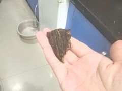 -都士牧人现烤牛肉干