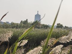 -永定河休闲森林公园