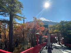 -Dragonfly悠庭·按摩Spa(浦东嘉里城店)