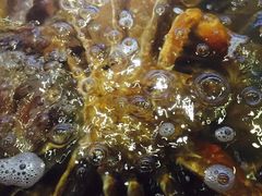 -蟹之国·精品蟹料理(极地店)