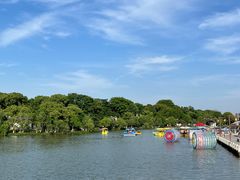 -八大山人梅湖景区