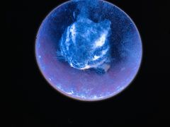 -佛山科学馆