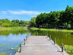 -阳澄湖半岛旅游度假区
