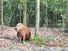 -河川生态园