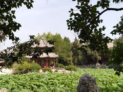 -莲池书院博物馆