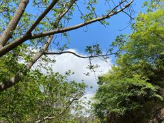 -云岫谷游猎自然风景区