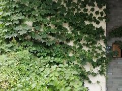 -溪畔•新徽菜(碧湖云溪店)