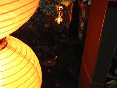 -楚畹园
