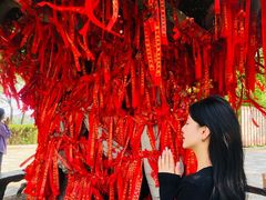 -中国翰园碑林