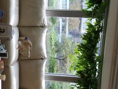 -精德口腔·种植修复·儿牙中心(财富中心店)