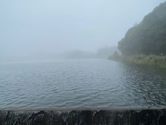 -海南热带雨林国家公园吊罗山景区