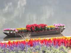 -广州市石门国家森林公园