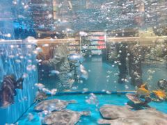 -麦德龙(湖里店)