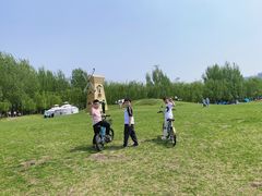 -长白岛森林公园