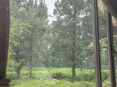 -野蔓果·山野菜(西湖景区·龙井茶田店)