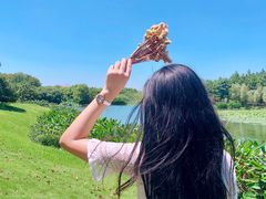 -艾溪湖湿地公园