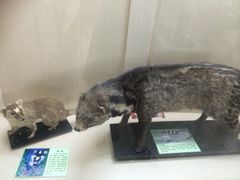 iphone_upload_pic-下渚湖国家湿地公园科普馆