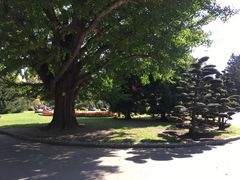 -北海道厅旧本厅舍(旧本庁舎)