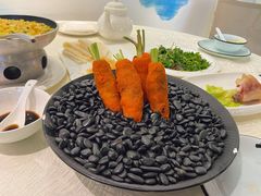 -丁老爷子苏香圆