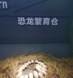 -恐龙探索乐园(磁器口店)