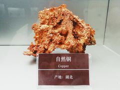 -甘肃地质博物馆