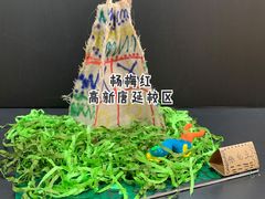 -杨梅红艺术教育(西安高新唐延教学中心)