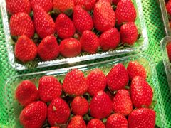 -果唯伊(共和新路店)