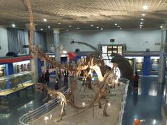 -国家自然博物馆