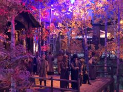 -华夏文旅海洋公园