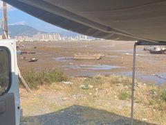 -北岐滩涂