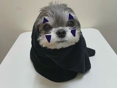 -捞旺猪肚鸡(街道口店)