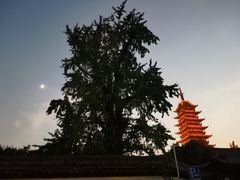 -常熟方塔园