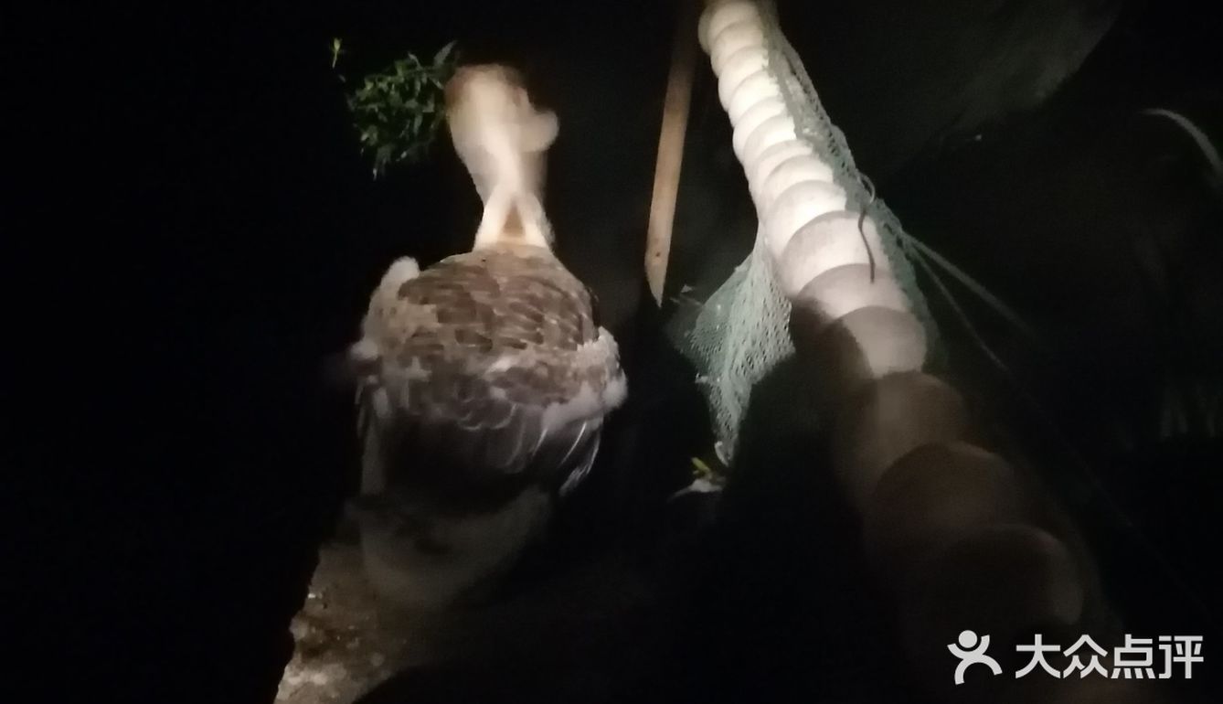 北二环的江南风景区[加油]积水潭西[呲牙]