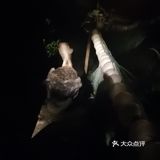 北二环的江南风景区[加油]积水潭西[呲牙]