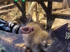 -波塞冬旅游度假区