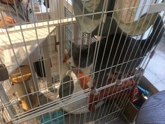 -白衬衫照相馆(五彩店)