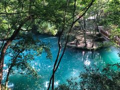 -之江大学-旧址