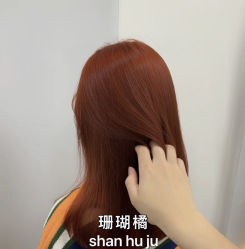 -藤野造型·烫发染发