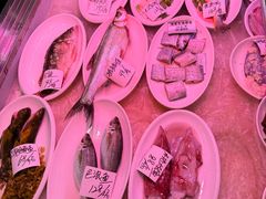 -红灯笼龙凤饭店(宁波老字号店)