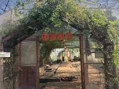 -前小桔亲子创意农场·草莓采摘·露营烧烤
