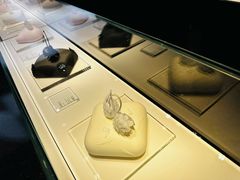 -BLACKSWAN黑天鹅(环球店)