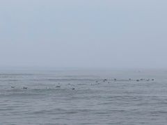 -金梦海湾浴场