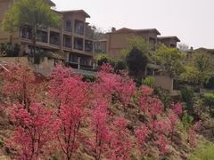 -半山湖景小厨(抚仙湖太阳山小镇店)