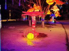 -沈阳奥体冰雪嘉年华