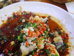 -全乐鱼馆·淳牌有机鱼直营店
