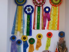 -Husky Go! 哈士奇体验馆·宠物咖啡厅狗咖