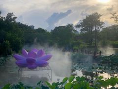 -厦门园林博览苑