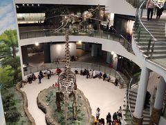 -辽宁古生物博物馆