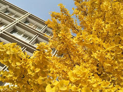 -山东农业大学(岱宗校区)