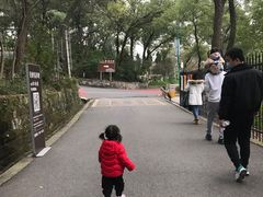 -林中乐辣子鸡(歌乐山总店)